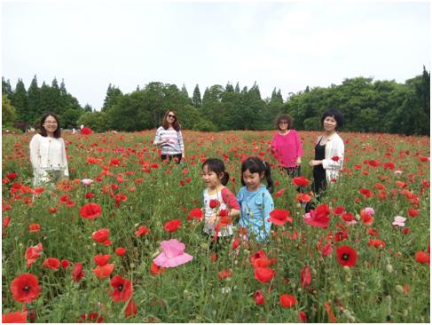 /dofiles/img/20150520101458407.jpg 盛世娱乐