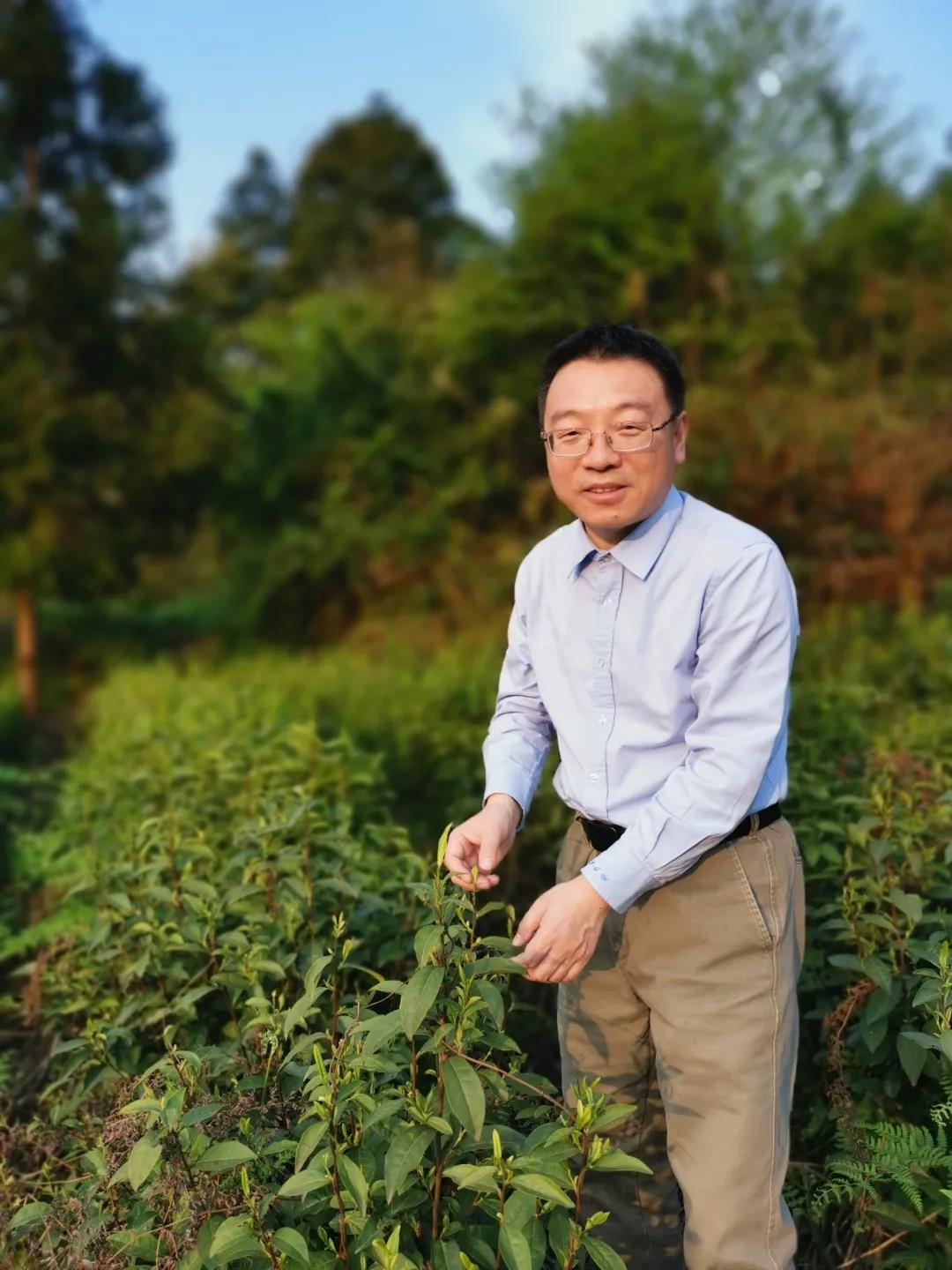 盛世娱乐